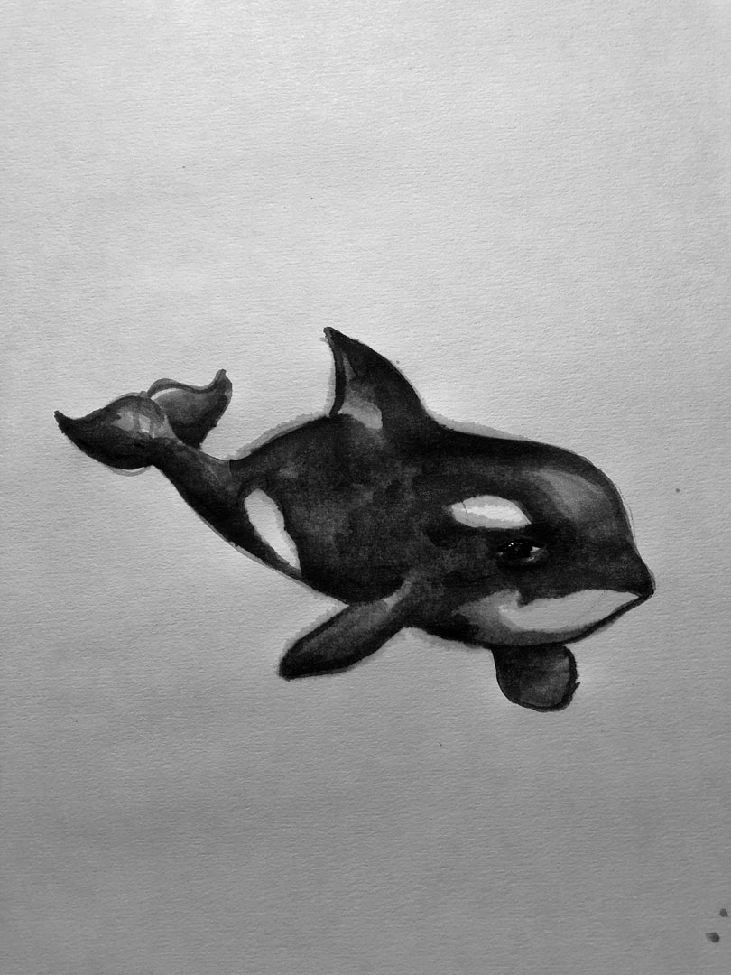 Orca